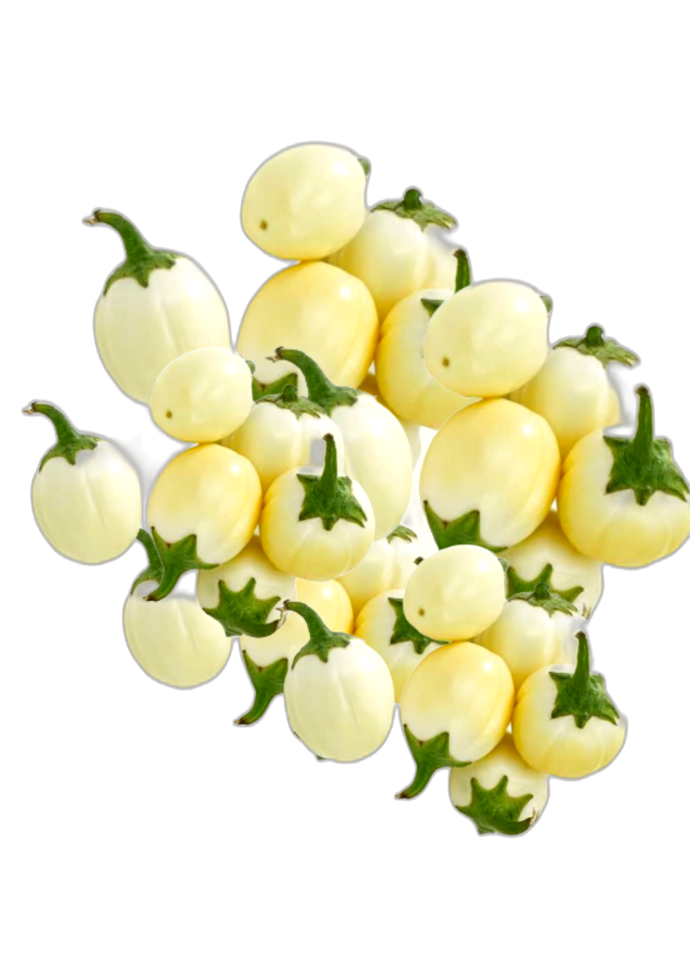 GARDEN EGG GREEN 6 kg